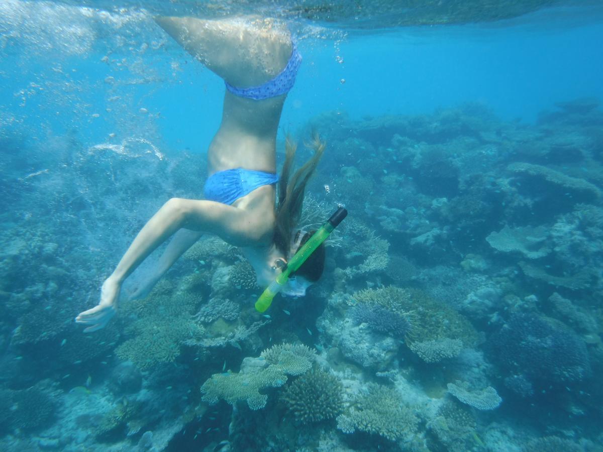 Hôtel Surf Trip Maldives à Thulusdhoo Extérieur photo
